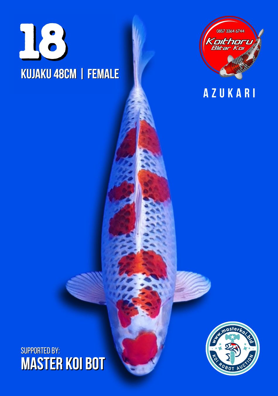Lelang Koi Online, Jual Beli Ikan Koi, Pusat Jual Beli Koi, Info Lelang Koi Hari Ini, Platform Jual Beli Koi, Jual Beli Ikan Koi Online, Marketplace Ikan Koi, Jual Koi Terbaik, Tempat Beli Koi Berkualitas, Pasar Ikan Koi Online Terpercaya, Penjual Ikan Koi Terpercaya, Beli Koi Hias Online, Ikan Koi untuk Dijual, Koi Kualitas Terbaik, Toko Online Ikan Koi, Koi Hias Untuk Dijual, Jual Beli Ikan Koi Lokal, Koi Indonesia Online, Pusat Jual Beli Koi Terbesar