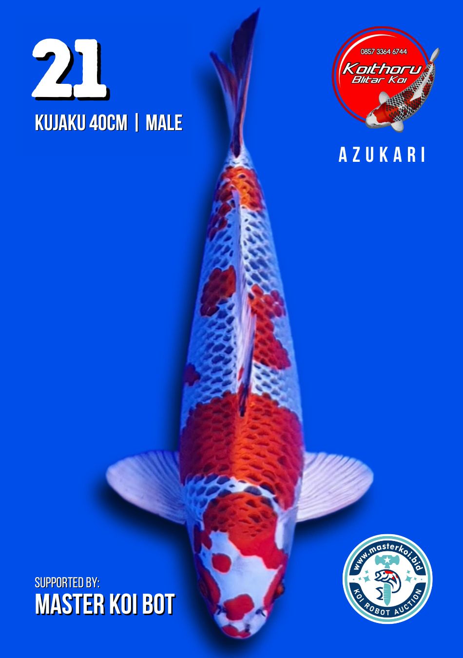 Lelang Koi Online, Jual Beli Ikan Koi, Pusat Jual Beli Koi, Info Lelang Koi Hari Ini, Platform Jual Beli Koi, Jual Beli Ikan Koi Online, Marketplace Ikan Koi, Jual Koi Terbaik, Tempat Beli Koi Berkualitas, Pasar Ikan Koi Online Terpercaya, Penjual Ikan Koi Terpercaya, Beli Koi Hias Online, Ikan Koi untuk Dijual, Koi Kualitas Terbaik, Toko Online Ikan Koi, Koi Hias Untuk Dijual, Jual Beli Ikan Koi Lokal, Koi Indonesia Online, Pusat Jual Beli Koi Terbesar
