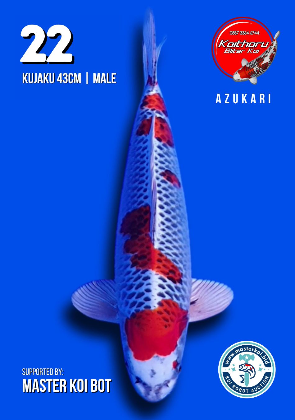 Lelang Koi Online, Jual Beli Ikan Koi, Pusat Jual Beli Koi, Info Lelang Koi Hari Ini, Platform Jual Beli Koi, Jual Beli Ikan Koi Online, Marketplace Ikan Koi, Jual Koi Terbaik, Tempat Beli Koi Berkualitas, Pasar Ikan Koi Online Terpercaya, Penjual Ikan Koi Terpercaya, Beli Koi Hias Online, Ikan Koi untuk Dijual, Koi Kualitas Terbaik, Toko Online Ikan Koi, Koi Hias Untuk Dijual, Jual Beli Ikan Koi Lokal, Koi Indonesia Online, Pusat Jual Beli Koi Terbesar