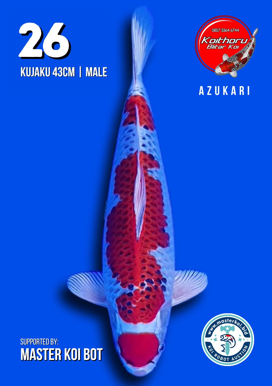 Lelang Koi Online, Jual Beli Ikan Koi, Pusat Jual Beli Koi, Info Lelang Koi Hari Ini, Platform Jual Beli Koi, Jual Beli Ikan Koi Online, Marketplace Ikan Koi, Jual Koi Terbaik, Tempat Beli Koi Berkualitas, Pasar Ikan Koi Online Terpercaya, Penjual Ikan Koi Terpercaya, Beli Koi Hias Online, Ikan Koi untuk Dijual, Koi Kualitas Terbaik, Toko Online Ikan Koi, Koi Hias Untuk Dijual, Jual Beli Ikan Koi Lokal, Koi Indonesia Online, Pusat Jual Beli Koi Terbesar