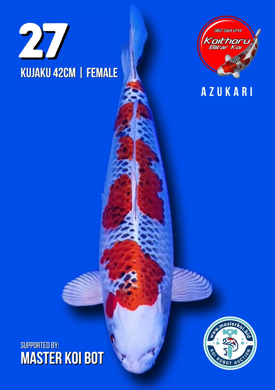 Lelang Koi Online, Jual Beli Ikan Koi, Pusat Jual Beli Koi, Info Lelang Koi Hari Ini, Platform Jual Beli Koi, Jual Beli Ikan Koi Online, Marketplace Ikan Koi, Jual Koi Terbaik, Tempat Beli Koi Berkualitas, Pasar Ikan Koi Online Terpercaya, Penjual Ikan Koi Terpercaya, Beli Koi Hias Online, Ikan Koi untuk Dijual, Koi Kualitas Terbaik, Toko Online Ikan Koi, Koi Hias Untuk Dijual, Jual Beli Ikan Koi Lokal, Koi Indonesia Online, Pusat Jual Beli Koi Terbesar
