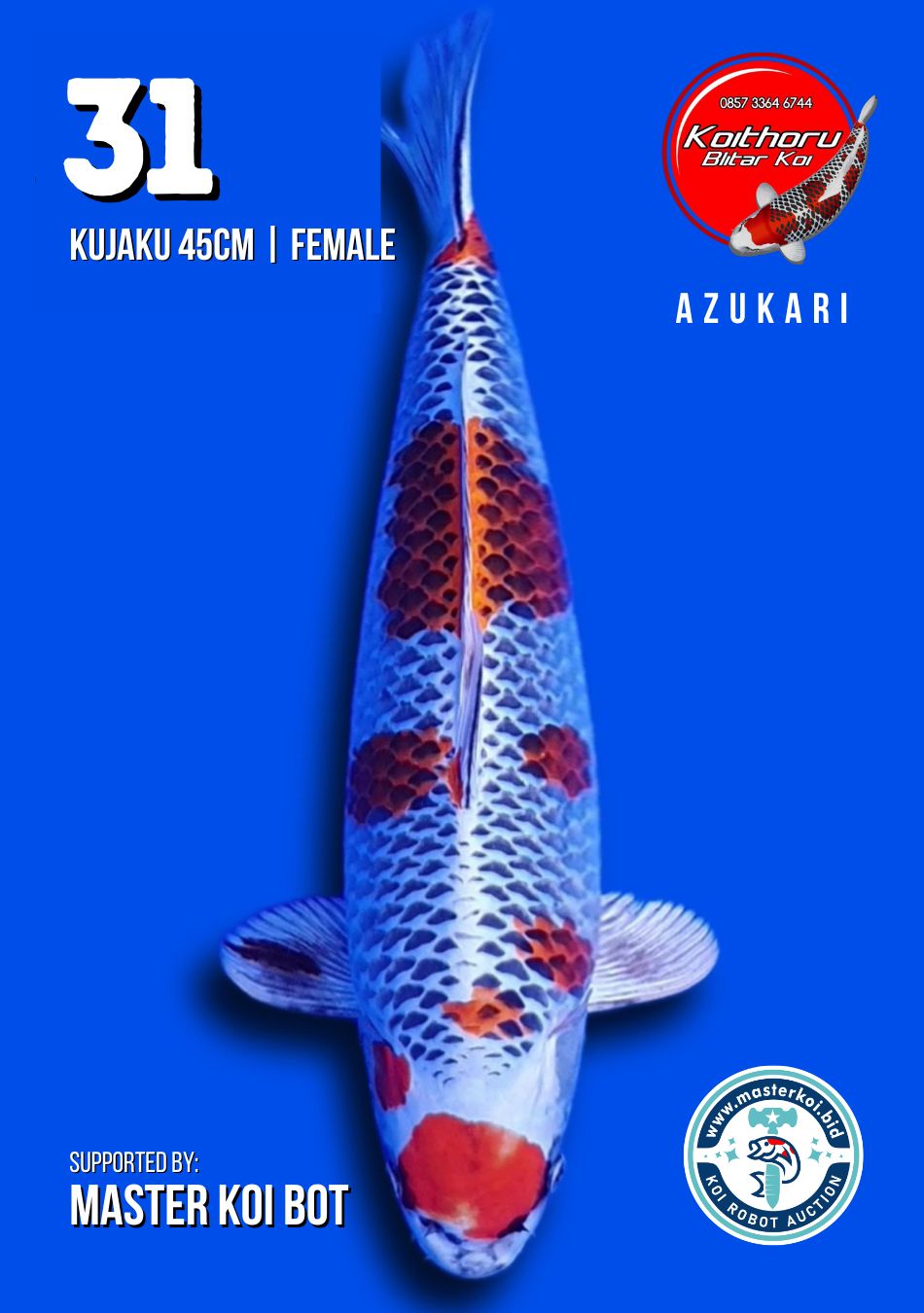 Lelang Koi Online, Jual Beli Ikan Koi, Pusat Jual Beli Koi, Info Lelang Koi Hari Ini, Platform Jual Beli Koi, Jual Beli Ikan Koi Online, Marketplace Ikan Koi, Jual Koi Terbaik, Tempat Beli Koi Berkualitas, Pasar Ikan Koi Online Terpercaya, Penjual Ikan Koi Terpercaya, Beli Koi Hias Online, Ikan Koi untuk Dijual, Koi Kualitas Terbaik, Toko Online Ikan Koi, Koi Hias Untuk Dijual, Jual Beli Ikan Koi Lokal, Koi Indonesia Online, Pusat Jual Beli Koi Terbesar