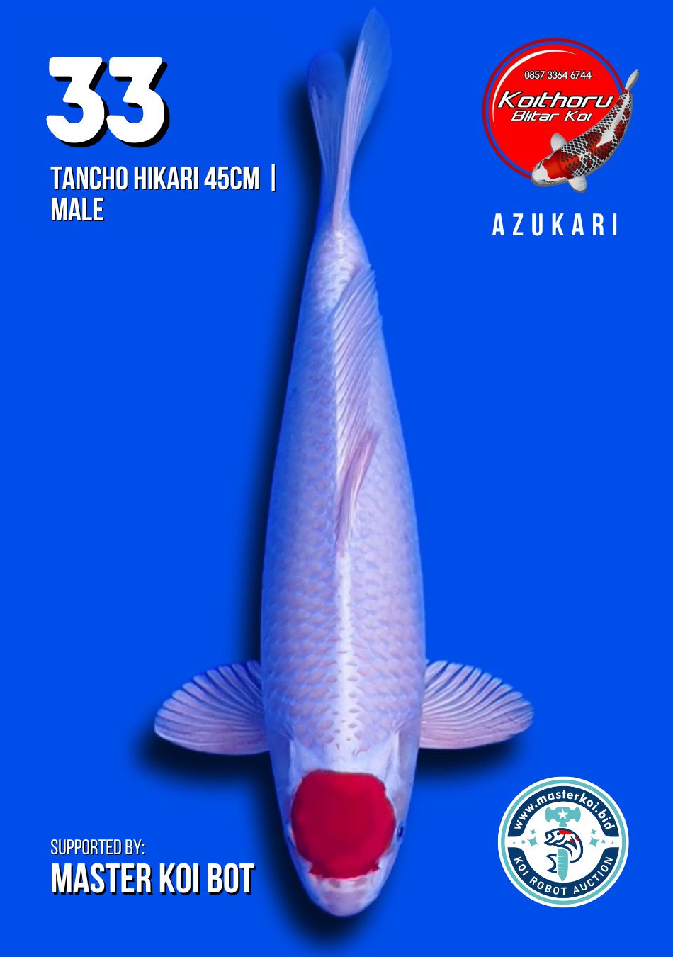 Lelang Koi Online, Jual Beli Ikan Koi, Pusat Jual Beli Koi, Info Lelang Koi Hari Ini, Platform Jual Beli Koi, Jual Beli Ikan Koi Online, Marketplace Ikan Koi, Jual Koi Terbaik, Tempat Beli Koi Berkualitas, Pasar Ikan Koi Online Terpercaya, Penjual Ikan Koi Terpercaya, Beli Koi Hias Online, Ikan Koi untuk Dijual, Koi Kualitas Terbaik, Toko Online Ikan Koi, Koi Hias Untuk Dijual, Jual Beli Ikan Koi Lokal, Koi Indonesia Online, Pusat Jual Beli Koi Terbesar