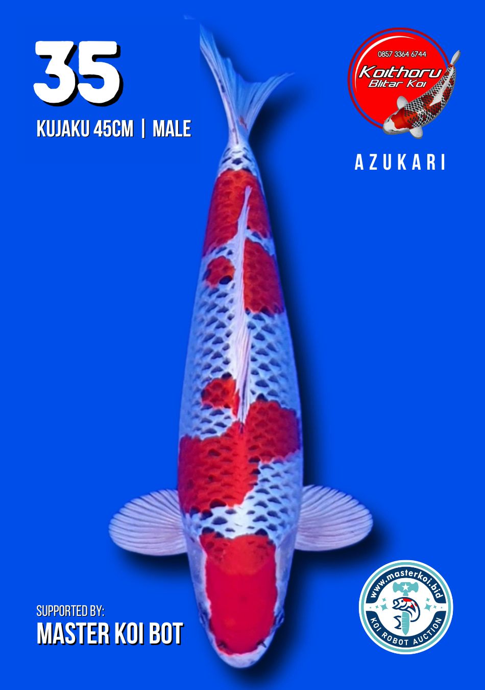 Lelang Koi Online, Jual Beli Ikan Koi, Pusat Jual Beli Koi, Info Lelang Koi Hari Ini, Platform Jual Beli Koi, Jual Beli Ikan Koi Online, Marketplace Ikan Koi, Jual Koi Terbaik, Tempat Beli Koi Berkualitas, Pasar Ikan Koi Online Terpercaya, Penjual Ikan Koi Terpercaya, Beli Koi Hias Online, Ikan Koi untuk Dijual, Koi Kualitas Terbaik, Toko Online Ikan Koi, Koi Hias Untuk Dijual, Jual Beli Ikan Koi Lokal, Koi Indonesia Online, Pusat Jual Beli Koi Terbesar