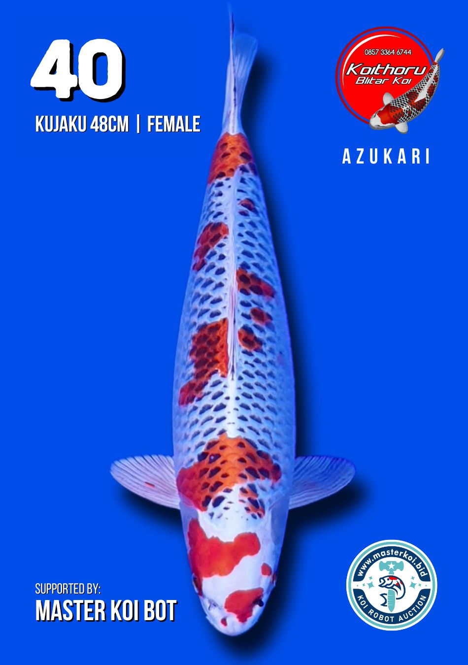 Lelang Koi Online, Jual Beli Ikan Koi, Pusat Jual Beli Koi, Info Lelang Koi Hari Ini, Platform Jual Beli Koi, Jual Beli Ikan Koi Online, Marketplace Ikan Koi, Jual Koi Terbaik, Tempat Beli Koi Berkualitas, Pasar Ikan Koi Online Terpercaya, Penjual Ikan Koi Terpercaya, Beli Koi Hias Online, Ikan Koi untuk Dijual, Koi Kualitas Terbaik, Toko Online Ikan Koi, Koi Hias Untuk Dijual, Jual Beli Ikan Koi Lokal, Koi Indonesia Online, Pusat Jual Beli Koi Terbesar