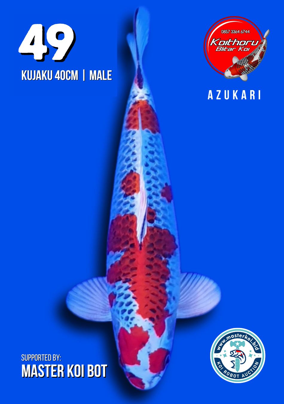 Lelang Koi Online, Jual Beli Ikan Koi, Pusat Jual Beli Koi, Info Lelang Koi Hari Ini, Platform Jual Beli Koi, Jual Beli Ikan Koi Online, Marketplace Ikan Koi, Jual Koi Terbaik, Tempat Beli Koi Berkualitas, Pasar Ikan Koi Online Terpercaya, Penjual Ikan Koi Terpercaya, Beli Koi Hias Online, Ikan Koi untuk Dijual, Koi Kualitas Terbaik, Toko Online Ikan Koi, Koi Hias Untuk Dijual, Jual Beli Ikan Koi Lokal, Koi Indonesia Online, Pusat Jual Beli Koi Terbesar