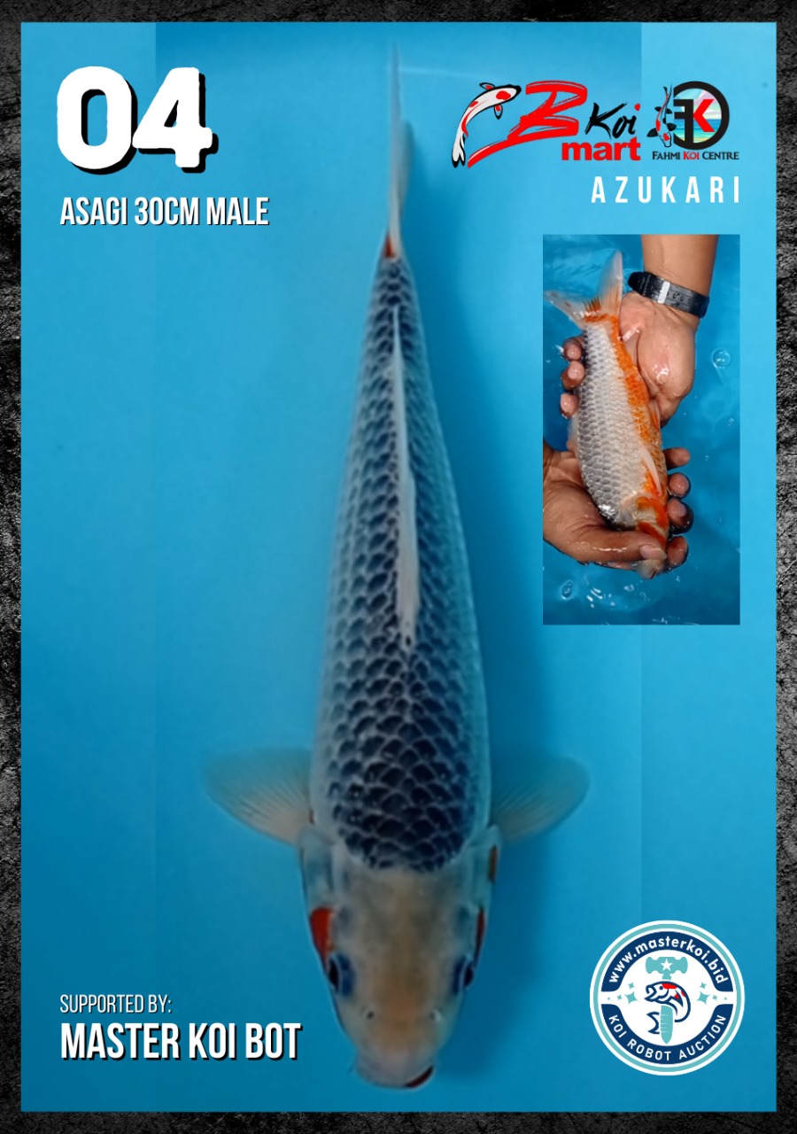 Lelang Koi Online, Jual Beli Ikan Koi, Pusat Jual Beli Koi, Info Lelang Koi Hari Ini, Platform Jual Beli Koi, Jual Beli Ikan Koi Online, Marketplace Ikan Koi, Jual Koi Terbaik, Tempat Beli Koi Berkualitas, Pasar Ikan Koi Online Terpercaya, Penjual Ikan Koi Terpercaya, Beli Koi Hias Online, Ikan Koi untuk Dijual, Koi Kualitas Terbaik, Toko Online Ikan Koi, Koi Hias Untuk Dijual, Jual Beli Ikan Koi Lokal, Koi Indonesia Online, Pusat Jual Beli Koi Terbesar