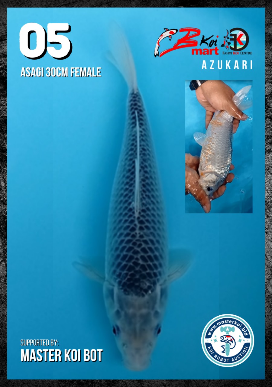 Lelang Koi Online, Jual Beli Ikan Koi, Pusat Jual Beli Koi, Info Lelang Koi Hari Ini, Platform Jual Beli Koi, Jual Beli Ikan Koi Online, Marketplace Ikan Koi, Jual Koi Terbaik, Tempat Beli Koi Berkualitas, Pasar Ikan Koi Online Terpercaya, Penjual Ikan Koi Terpercaya, Beli Koi Hias Online, Ikan Koi untuk Dijual, Koi Kualitas Terbaik, Toko Online Ikan Koi, Koi Hias Untuk Dijual, Jual Beli Ikan Koi Lokal, Koi Indonesia Online, Pusat Jual Beli Koi Terbesar