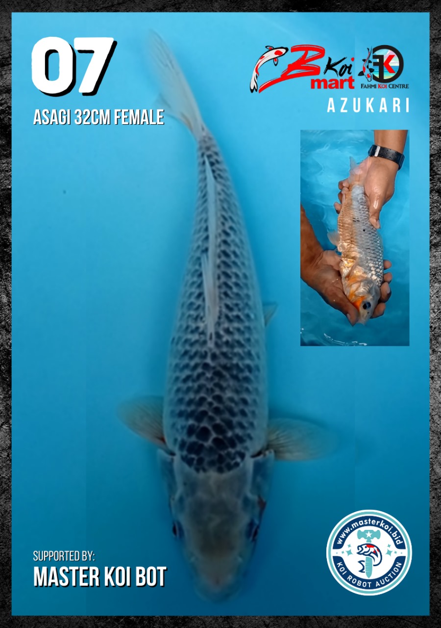 Lelang Koi Online, Jual Beli Ikan Koi, Pusat Jual Beli Koi, Info Lelang Koi Hari Ini, Platform Jual Beli Koi, Jual Beli Ikan Koi Online, Marketplace Ikan Koi, Jual Koi Terbaik, Tempat Beli Koi Berkualitas, Pasar Ikan Koi Online Terpercaya, Penjual Ikan Koi Terpercaya, Beli Koi Hias Online, Ikan Koi untuk Dijual, Koi Kualitas Terbaik, Toko Online Ikan Koi, Koi Hias Untuk Dijual, Jual Beli Ikan Koi Lokal, Koi Indonesia Online, Pusat Jual Beli Koi Terbesar