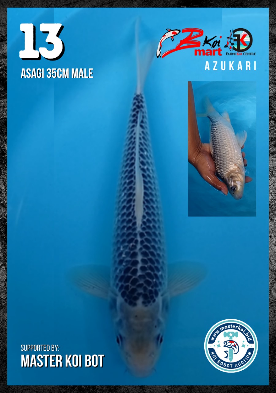 Lelang Koi Online, Jual Beli Ikan Koi, Pusat Jual Beli Koi, Info Lelang Koi Hari Ini, Platform Jual Beli Koi, Jual Beli Ikan Koi Online, Marketplace Ikan Koi, Jual Koi Terbaik, Tempat Beli Koi Berkualitas, Pasar Ikan Koi Online Terpercaya, Penjual Ikan Koi Terpercaya, Beli Koi Hias Online, Ikan Koi untuk Dijual, Koi Kualitas Terbaik, Toko Online Ikan Koi, Koi Hias Untuk Dijual, Jual Beli Ikan Koi Lokal, Koi Indonesia Online, Pusat Jual Beli Koi Terbesar