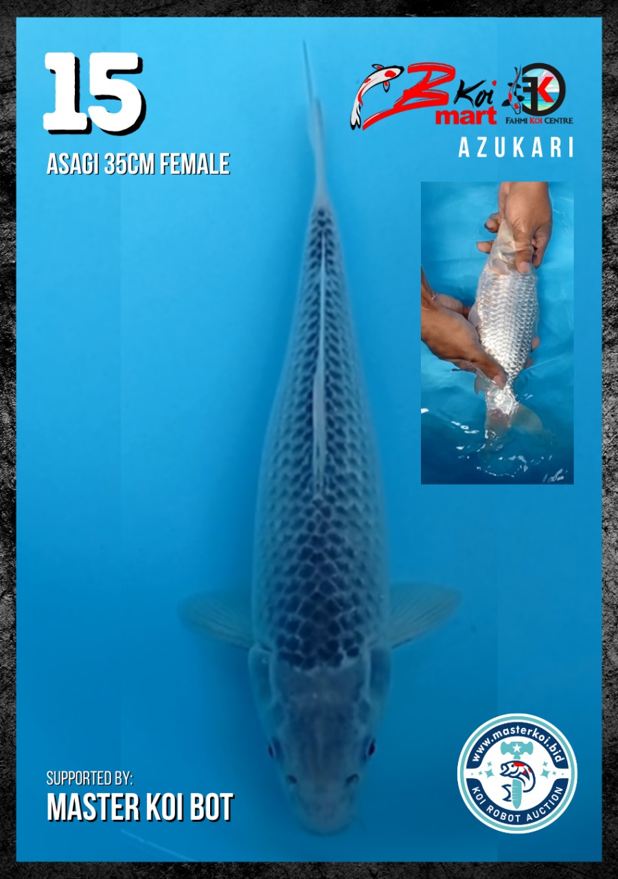 Lelang Koi Online, Jual Beli Ikan Koi, Pusat Jual Beli Koi, Info Lelang Koi Hari Ini, Platform Jual Beli Koi, Jual Beli Ikan Koi Online, Marketplace Ikan Koi, Jual Koi Terbaik, Tempat Beli Koi Berkualitas, Pasar Ikan Koi Online Terpercaya, Penjual Ikan Koi Terpercaya, Beli Koi Hias Online, Ikan Koi untuk Dijual, Koi Kualitas Terbaik, Toko Online Ikan Koi, Koi Hias Untuk Dijual, Jual Beli Ikan Koi Lokal, Koi Indonesia Online, Pusat Jual Beli Koi Terbesar