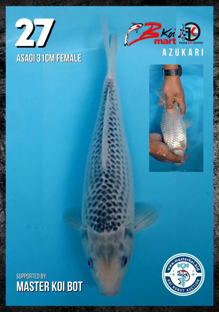 Lelang Koi Online, Jual Beli Ikan Koi, Pusat Jual Beli Koi, Info Lelang Koi Hari Ini, Platform Jual Beli Koi, Jual Beli Ikan Koi Online, Marketplace Ikan Koi, Jual Koi Terbaik, Tempat Beli Koi Berkualitas, Pasar Ikan Koi Online Terpercaya, Penjual Ikan Koi Terpercaya, Beli Koi Hias Online, Ikan Koi untuk Dijual, Koi Kualitas Terbaik, Toko Online Ikan Koi, Koi Hias Untuk Dijual, Jual Beli Ikan Koi Lokal, Koi Indonesia Online, Pusat Jual Beli Koi Terbesar