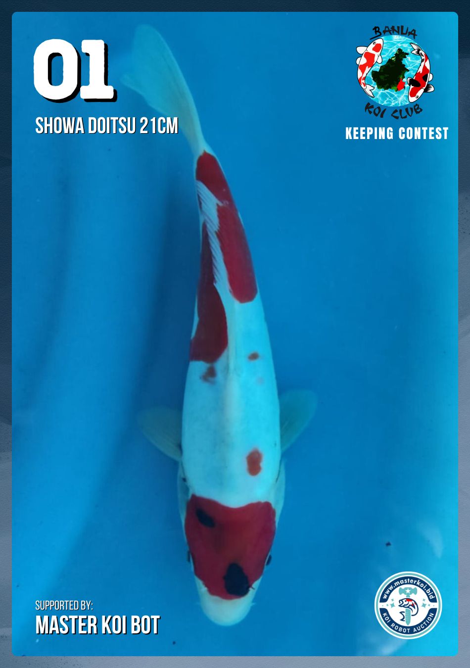 Lelang Koi Online, Jual Beli Ikan Koi, Pusat Jual Beli Koi, Info Lelang Koi Hari Ini, Platform Jual Beli Koi, Jual Beli Ikan Koi Online, Marketplace Ikan Koi, Jual Koi Terbaik, Tempat Beli Koi Berkualitas, Pasar Ikan Koi Online Terpercaya, Penjual Ikan Koi Terpercaya, Beli Koi Hias Online, Ikan Koi untuk Dijual, Koi Kualitas Terbaik, Toko Online Ikan Koi, Koi Hias Untuk Dijual, Jual Beli Ikan Koi Lokal, Koi Indonesia Online, Pusat Jual Beli Koi Terbesar