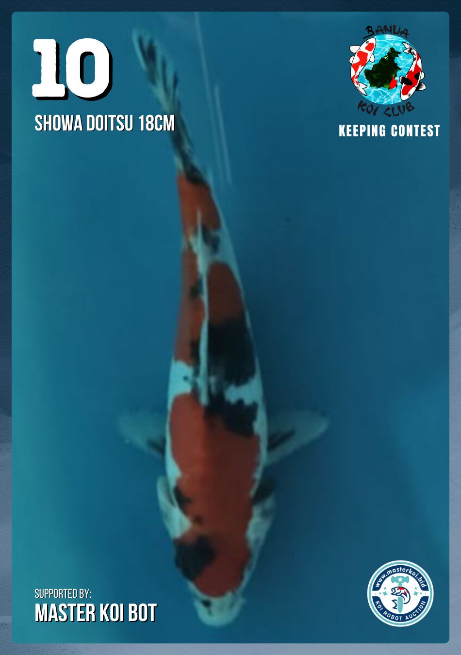 Lelang Koi Online, Jual Beli Ikan Koi, Pusat Jual Beli Koi, Info Lelang Koi Hari Ini, Platform Jual Beli Koi, Jual Beli Ikan Koi Online, Marketplace Ikan Koi, Jual Koi Terbaik, Tempat Beli Koi Berkualitas, Pasar Ikan Koi Online Terpercaya, Penjual Ikan Koi Terpercaya, Beli Koi Hias Online, Ikan Koi untuk Dijual, Koi Kualitas Terbaik, Toko Online Ikan Koi, Koi Hias Untuk Dijual, Jual Beli Ikan Koi Lokal, Koi Indonesia Online, Pusat Jual Beli Koi Terbesar