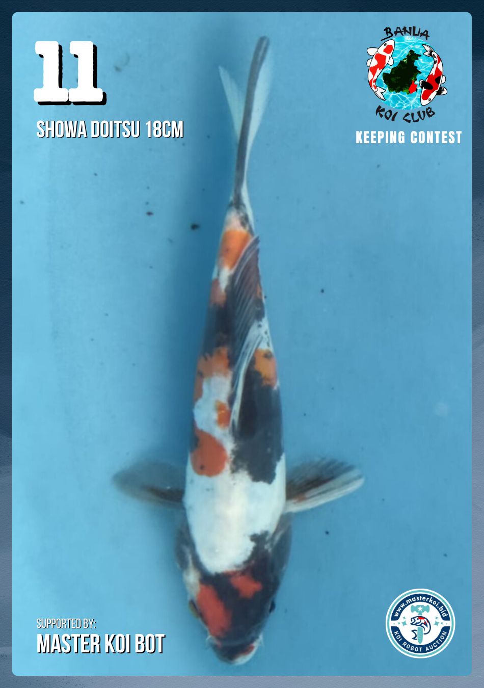 Lelang Koi Online, Jual Beli Ikan Koi, Pusat Jual Beli Koi, Info Lelang Koi Hari Ini, Platform Jual Beli Koi, Jual Beli Ikan Koi Online, Marketplace Ikan Koi, Jual Koi Terbaik, Tempat Beli Koi Berkualitas, Pasar Ikan Koi Online Terpercaya, Penjual Ikan Koi Terpercaya, Beli Koi Hias Online, Ikan Koi untuk Dijual, Koi Kualitas Terbaik, Toko Online Ikan Koi, Koi Hias Untuk Dijual, Jual Beli Ikan Koi Lokal, Koi Indonesia Online, Pusat Jual Beli Koi Terbesar