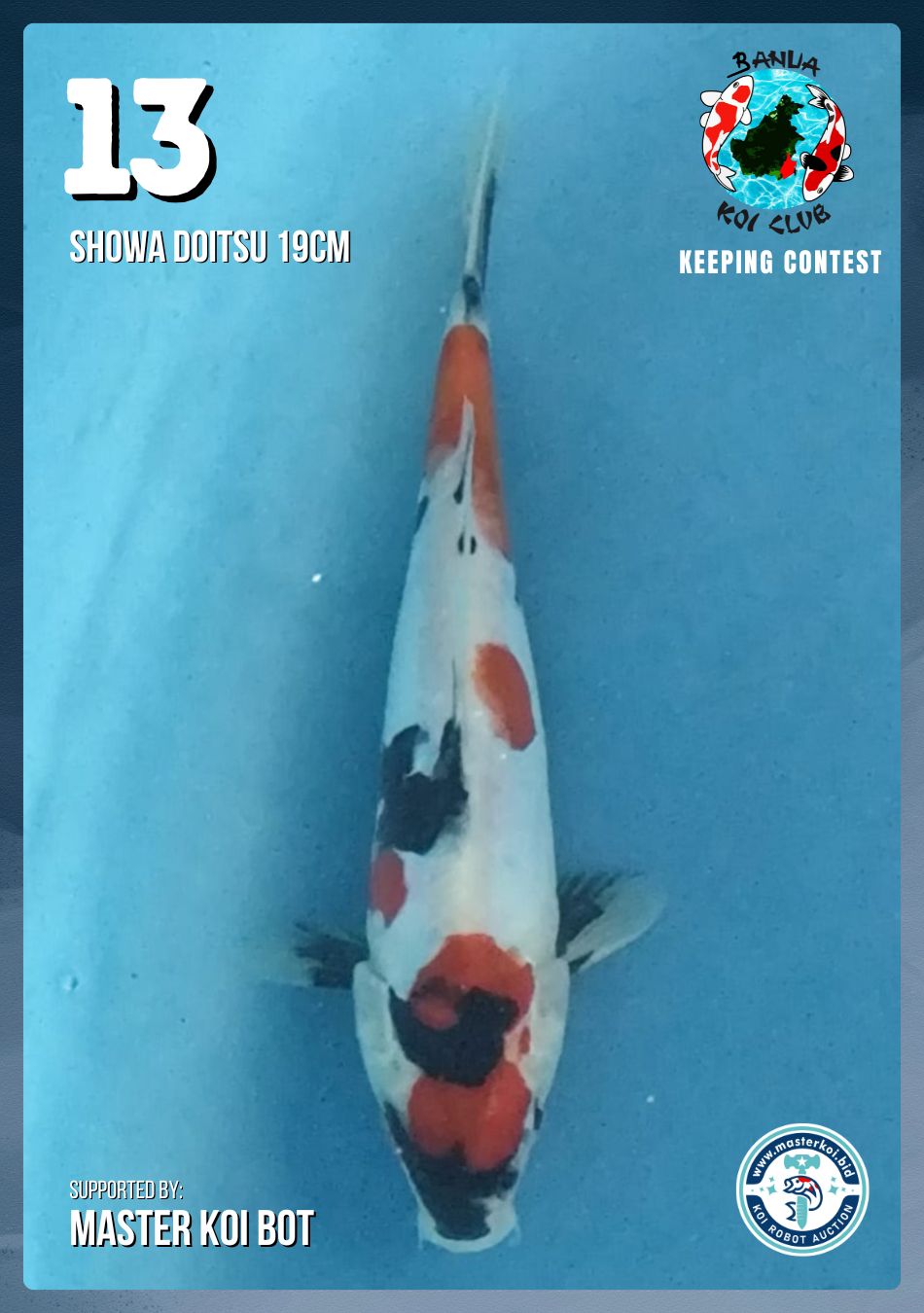 Lelang Koi Online, Jual Beli Ikan Koi, Pusat Jual Beli Koi, Info Lelang Koi Hari Ini, Platform Jual Beli Koi, Jual Beli Ikan Koi Online, Marketplace Ikan Koi, Jual Koi Terbaik, Tempat Beli Koi Berkualitas, Pasar Ikan Koi Online Terpercaya, Penjual Ikan Koi Terpercaya, Beli Koi Hias Online, Ikan Koi untuk Dijual, Koi Kualitas Terbaik, Toko Online Ikan Koi, Koi Hias Untuk Dijual, Jual Beli Ikan Koi Lokal, Koi Indonesia Online, Pusat Jual Beli Koi Terbesar