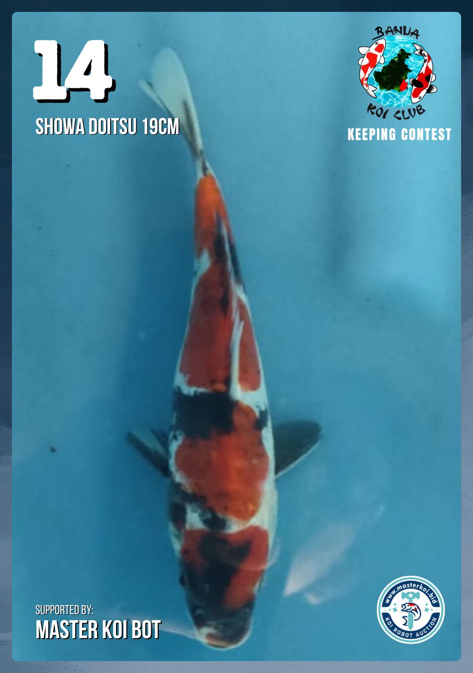 Lelang Koi Online, Jual Beli Ikan Koi, Pusat Jual Beli Koi, Info Lelang Koi Hari Ini, Platform Jual Beli Koi, Jual Beli Ikan Koi Online, Marketplace Ikan Koi, Jual Koi Terbaik, Tempat Beli Koi Berkualitas, Pasar Ikan Koi Online Terpercaya, Penjual Ikan Koi Terpercaya, Beli Koi Hias Online, Ikan Koi untuk Dijual, Koi Kualitas Terbaik, Toko Online Ikan Koi, Koi Hias Untuk Dijual, Jual Beli Ikan Koi Lokal, Koi Indonesia Online, Pusat Jual Beli Koi Terbesar