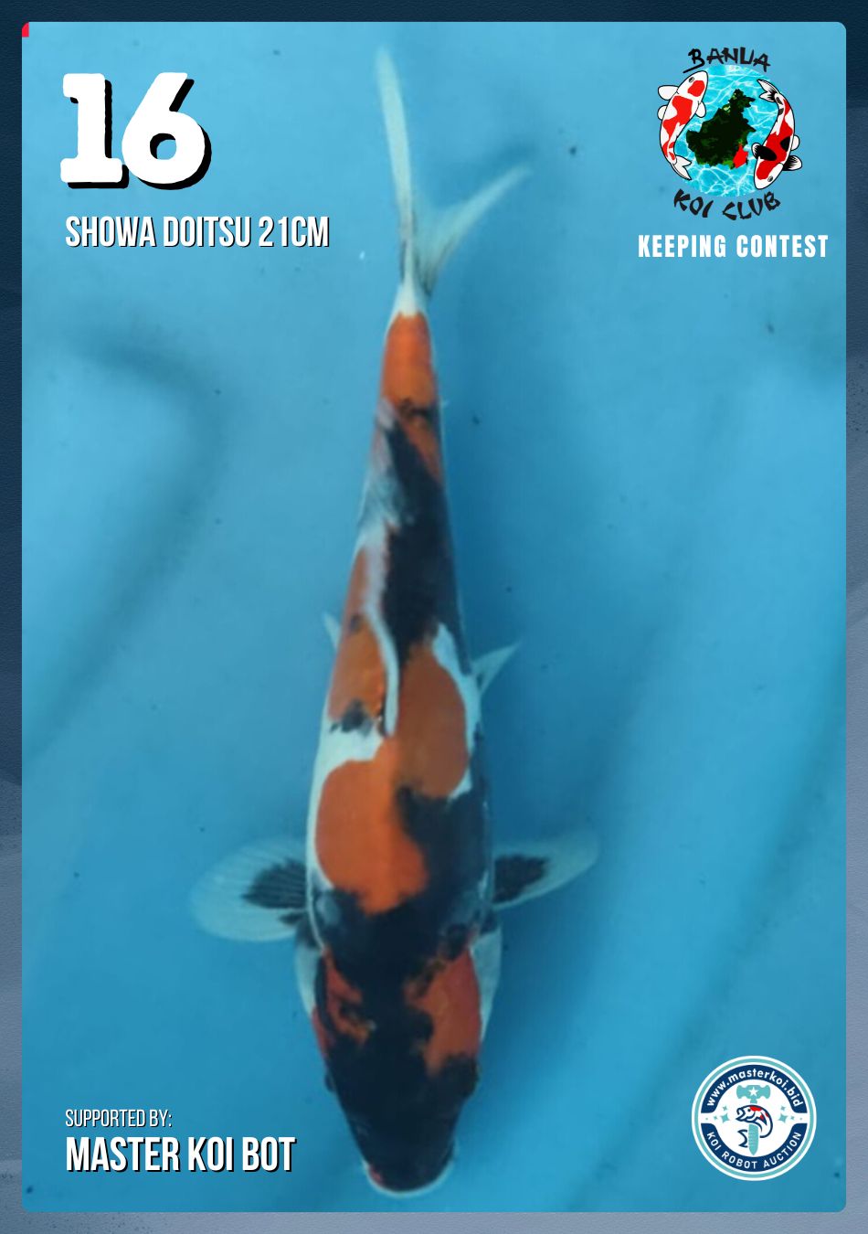 Lelang Koi Online, Jual Beli Ikan Koi, Pusat Jual Beli Koi, Info Lelang Koi Hari Ini, Platform Jual Beli Koi, Jual Beli Ikan Koi Online, Marketplace Ikan Koi, Jual Koi Terbaik, Tempat Beli Koi Berkualitas, Pasar Ikan Koi Online Terpercaya, Penjual Ikan Koi Terpercaya, Beli Koi Hias Online, Ikan Koi untuk Dijual, Koi Kualitas Terbaik, Toko Online Ikan Koi, Koi Hias Untuk Dijual, Jual Beli Ikan Koi Lokal, Koi Indonesia Online, Pusat Jual Beli Koi Terbesar