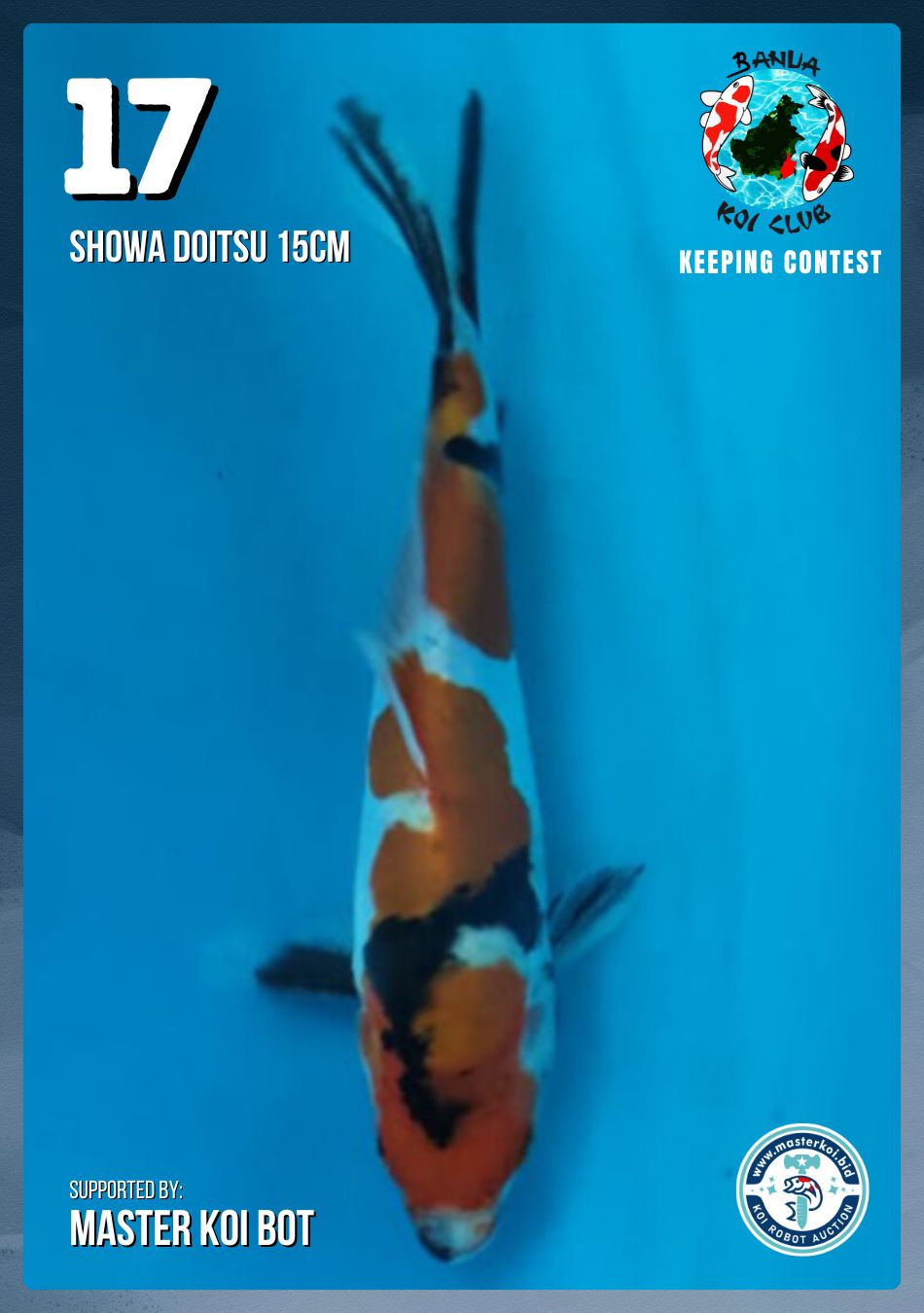 Lelang Koi Online, Jual Beli Ikan Koi, Pusat Jual Beli Koi, Info Lelang Koi Hari Ini, Platform Jual Beli Koi, Jual Beli Ikan Koi Online, Marketplace Ikan Koi, Jual Koi Terbaik, Tempat Beli Koi Berkualitas, Pasar Ikan Koi Online Terpercaya, Penjual Ikan Koi Terpercaya, Beli Koi Hias Online, Ikan Koi untuk Dijual, Koi Kualitas Terbaik, Toko Online Ikan Koi, Koi Hias Untuk Dijual, Jual Beli Ikan Koi Lokal, Koi Indonesia Online, Pusat Jual Beli Koi Terbesar