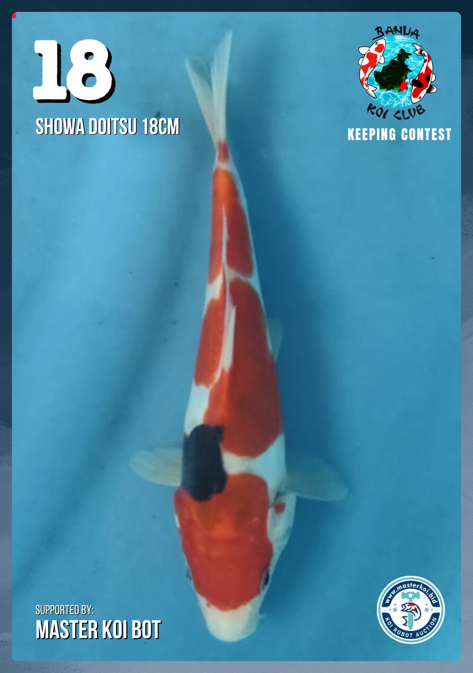 Lelang Koi Online, Jual Beli Ikan Koi, Pusat Jual Beli Koi, Info Lelang Koi Hari Ini, Platform Jual Beli Koi, Jual Beli Ikan Koi Online, Marketplace Ikan Koi, Jual Koi Terbaik, Tempat Beli Koi Berkualitas, Pasar Ikan Koi Online Terpercaya, Penjual Ikan Koi Terpercaya, Beli Koi Hias Online, Ikan Koi untuk Dijual, Koi Kualitas Terbaik, Toko Online Ikan Koi, Koi Hias Untuk Dijual, Jual Beli Ikan Koi Lokal, Koi Indonesia Online, Pusat Jual Beli Koi Terbesar