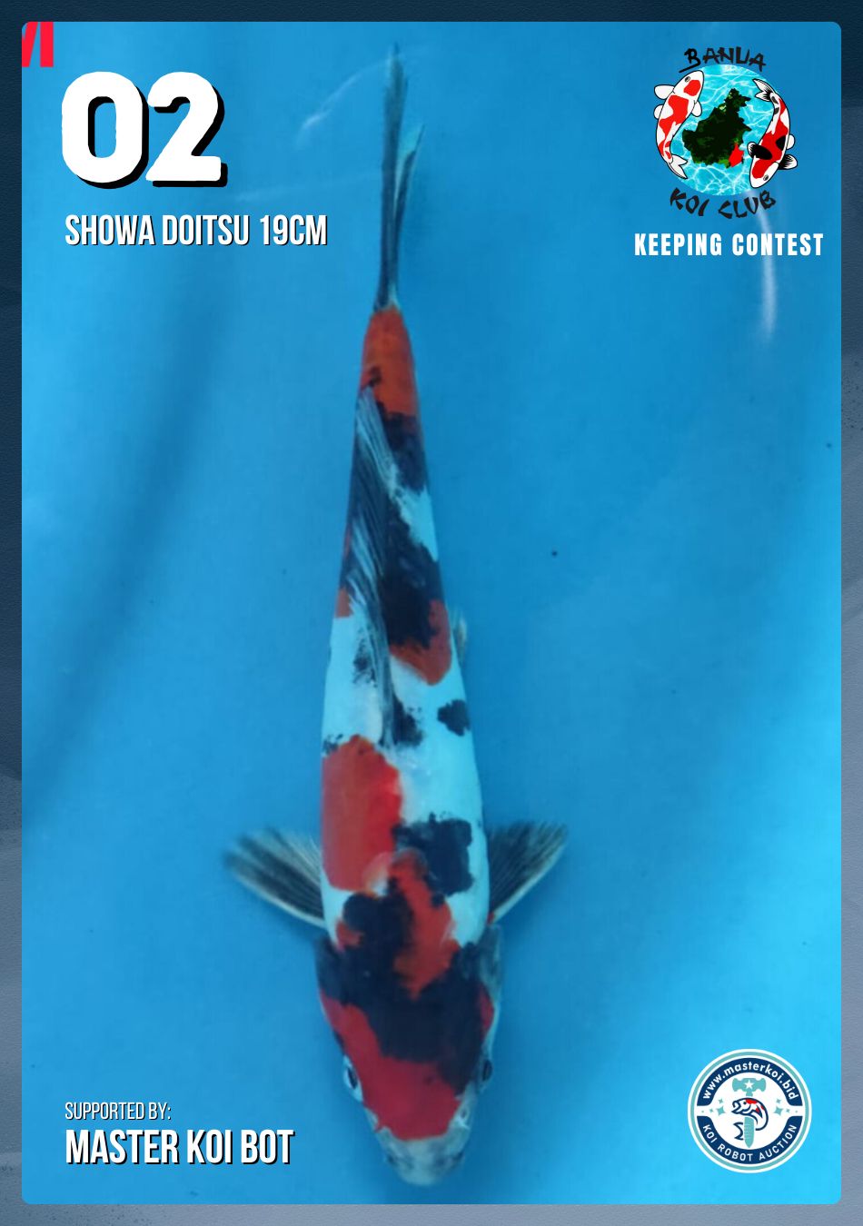 Lelang Koi Online, Jual Beli Ikan Koi, Pusat Jual Beli Koi, Info Lelang Koi Hari Ini, Platform Jual Beli Koi, Jual Beli Ikan Koi Online, Marketplace Ikan Koi, Jual Koi Terbaik, Tempat Beli Koi Berkualitas, Pasar Ikan Koi Online Terpercaya, Penjual Ikan Koi Terpercaya, Beli Koi Hias Online, Ikan Koi untuk Dijual, Koi Kualitas Terbaik, Toko Online Ikan Koi, Koi Hias Untuk Dijual, Jual Beli Ikan Koi Lokal, Koi Indonesia Online, Pusat Jual Beli Koi Terbesar