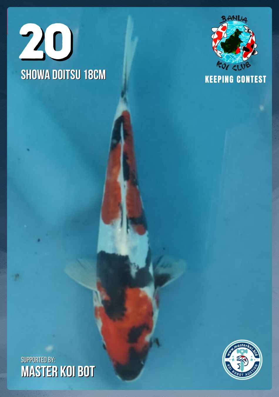Lelang Koi Online, Jual Beli Ikan Koi, Pusat Jual Beli Koi, Info Lelang Koi Hari Ini, Platform Jual Beli Koi, Jual Beli Ikan Koi Online, Marketplace Ikan Koi, Jual Koi Terbaik, Tempat Beli Koi Berkualitas, Pasar Ikan Koi Online Terpercaya, Penjual Ikan Koi Terpercaya, Beli Koi Hias Online, Ikan Koi untuk Dijual, Koi Kualitas Terbaik, Toko Online Ikan Koi, Koi Hias Untuk Dijual, Jual Beli Ikan Koi Lokal, Koi Indonesia Online, Pusat Jual Beli Koi Terbesar