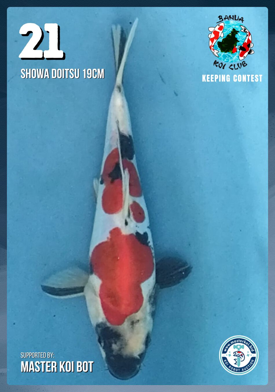 Lelang Koi Online, Jual Beli Ikan Koi, Pusat Jual Beli Koi, Info Lelang Koi Hari Ini, Platform Jual Beli Koi, Jual Beli Ikan Koi Online, Marketplace Ikan Koi, Jual Koi Terbaik, Tempat Beli Koi Berkualitas, Pasar Ikan Koi Online Terpercaya, Penjual Ikan Koi Terpercaya, Beli Koi Hias Online, Ikan Koi untuk Dijual, Koi Kualitas Terbaik, Toko Online Ikan Koi, Koi Hias Untuk Dijual, Jual Beli Ikan Koi Lokal, Koi Indonesia Online, Pusat Jual Beli Koi Terbesar