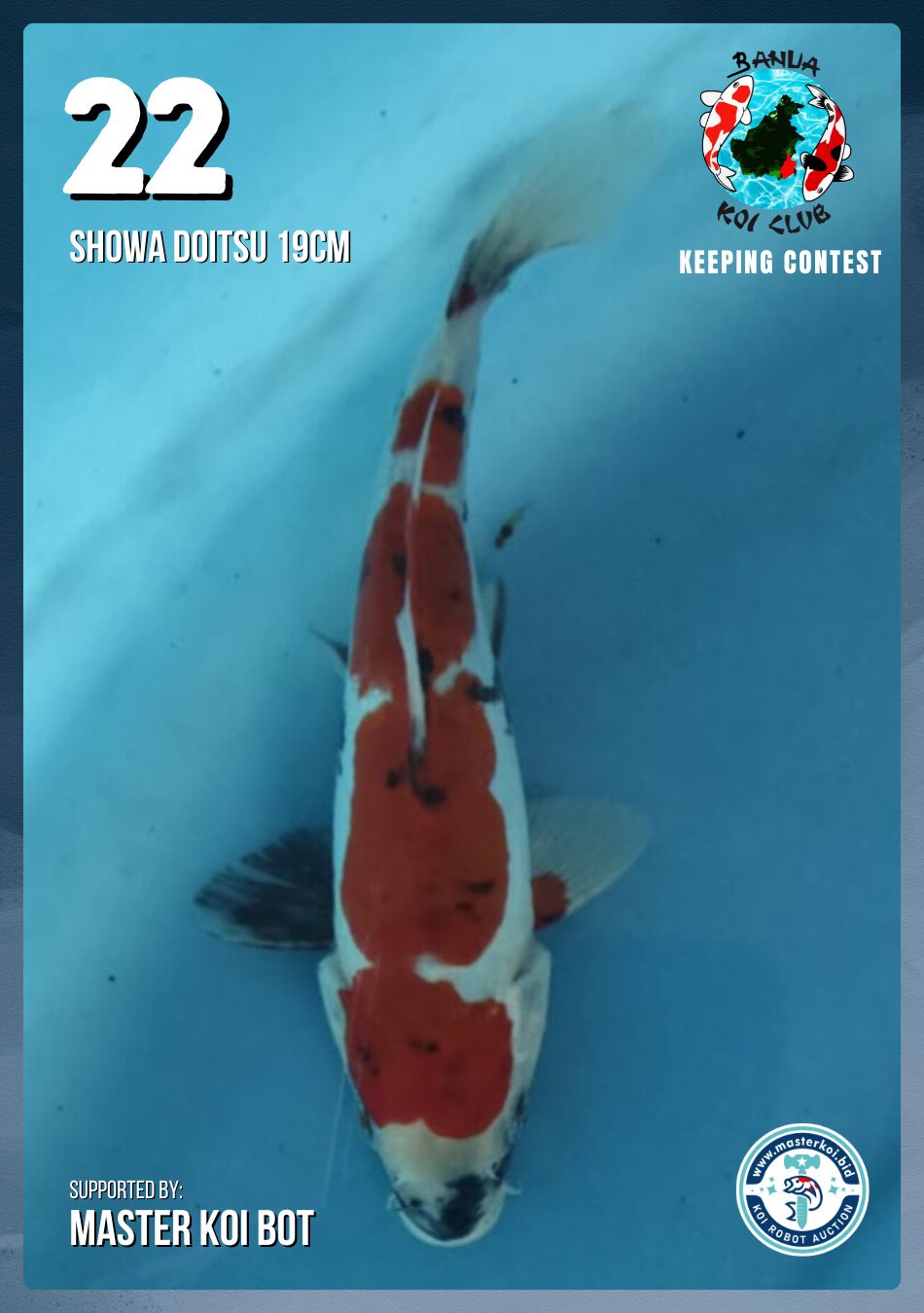 Lelang Koi Online, Jual Beli Ikan Koi, Pusat Jual Beli Koi, Info Lelang Koi Hari Ini, Platform Jual Beli Koi, Jual Beli Ikan Koi Online, Marketplace Ikan Koi, Jual Koi Terbaik, Tempat Beli Koi Berkualitas, Pasar Ikan Koi Online Terpercaya, Penjual Ikan Koi Terpercaya, Beli Koi Hias Online, Ikan Koi untuk Dijual, Koi Kualitas Terbaik, Toko Online Ikan Koi, Koi Hias Untuk Dijual, Jual Beli Ikan Koi Lokal, Koi Indonesia Online, Pusat Jual Beli Koi Terbesar