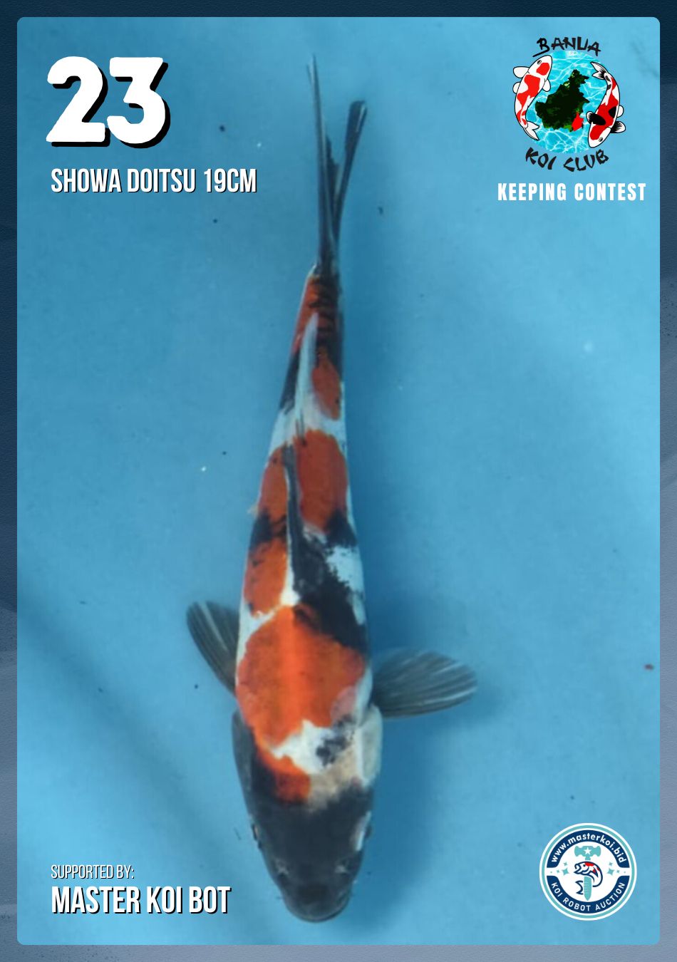 Lelang Koi Online, Jual Beli Ikan Koi, Pusat Jual Beli Koi, Info Lelang Koi Hari Ini, Platform Jual Beli Koi, Jual Beli Ikan Koi Online, Marketplace Ikan Koi, Jual Koi Terbaik, Tempat Beli Koi Berkualitas, Pasar Ikan Koi Online Terpercaya, Penjual Ikan Koi Terpercaya, Beli Koi Hias Online, Ikan Koi untuk Dijual, Koi Kualitas Terbaik, Toko Online Ikan Koi, Koi Hias Untuk Dijual, Jual Beli Ikan Koi Lokal, Koi Indonesia Online, Pusat Jual Beli Koi Terbesar