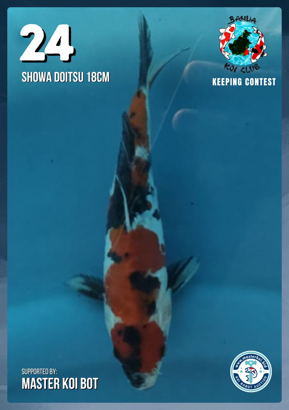 Lelang Koi Online, Jual Beli Ikan Koi, Pusat Jual Beli Koi, Info Lelang Koi Hari Ini, Platform Jual Beli Koi, Jual Beli Ikan Koi Online, Marketplace Ikan Koi, Jual Koi Terbaik, Tempat Beli Koi Berkualitas, Pasar Ikan Koi Online Terpercaya, Penjual Ikan Koi Terpercaya, Beli Koi Hias Online, Ikan Koi untuk Dijual, Koi Kualitas Terbaik, Toko Online Ikan Koi, Koi Hias Untuk Dijual, Jual Beli Ikan Koi Lokal, Koi Indonesia Online, Pusat Jual Beli Koi Terbesar