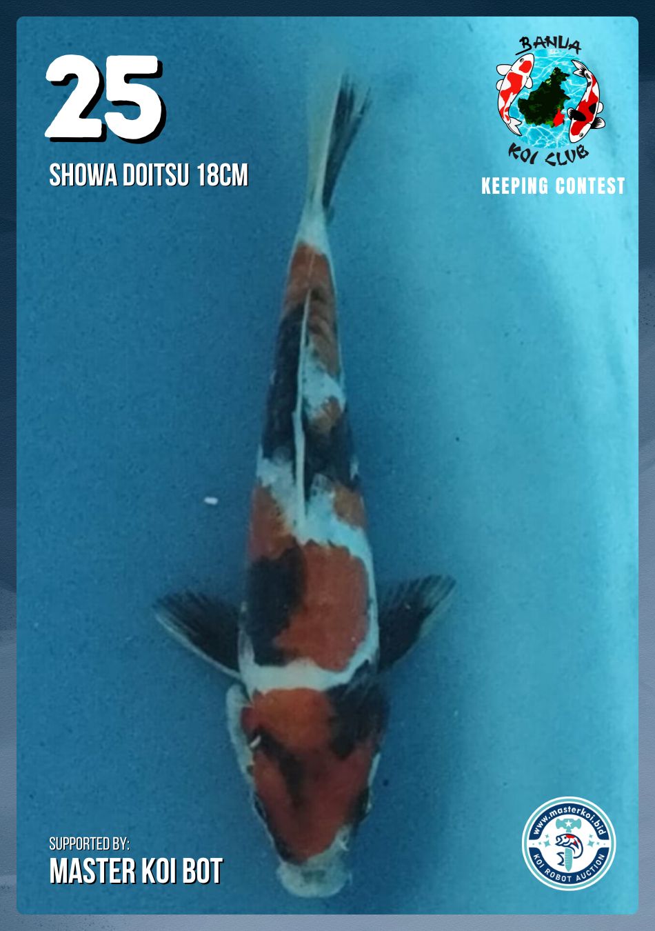 Lelang Koi Online, Jual Beli Ikan Koi, Pusat Jual Beli Koi, Info Lelang Koi Hari Ini, Platform Jual Beli Koi, Jual Beli Ikan Koi Online, Marketplace Ikan Koi, Jual Koi Terbaik, Tempat Beli Koi Berkualitas, Pasar Ikan Koi Online Terpercaya, Penjual Ikan Koi Terpercaya, Beli Koi Hias Online, Ikan Koi untuk Dijual, Koi Kualitas Terbaik, Toko Online Ikan Koi, Koi Hias Untuk Dijual, Jual Beli Ikan Koi Lokal, Koi Indonesia Online, Pusat Jual Beli Koi Terbesar