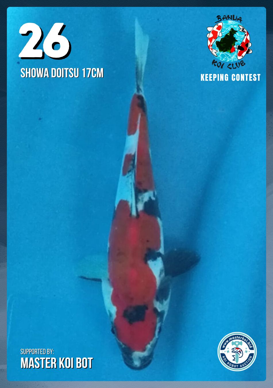 Lelang Koi Online, Jual Beli Ikan Koi, Pusat Jual Beli Koi, Info Lelang Koi Hari Ini, Platform Jual Beli Koi, Jual Beli Ikan Koi Online, Marketplace Ikan Koi, Jual Koi Terbaik, Tempat Beli Koi Berkualitas, Pasar Ikan Koi Online Terpercaya, Penjual Ikan Koi Terpercaya, Beli Koi Hias Online, Ikan Koi untuk Dijual, Koi Kualitas Terbaik, Toko Online Ikan Koi, Koi Hias Untuk Dijual, Jual Beli Ikan Koi Lokal, Koi Indonesia Online, Pusat Jual Beli Koi Terbesar