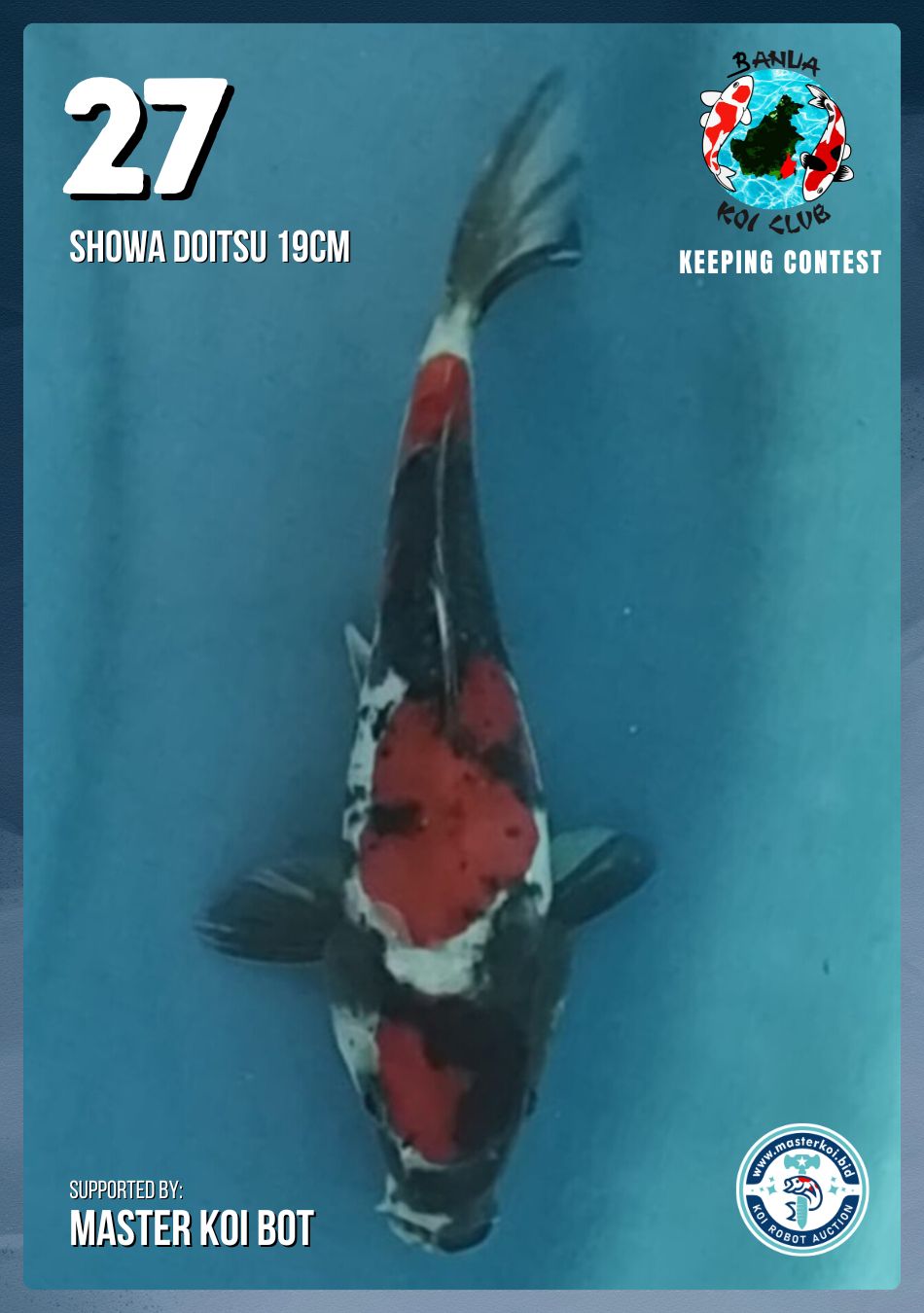Lelang Koi Online, Jual Beli Ikan Koi, Pusat Jual Beli Koi, Info Lelang Koi Hari Ini, Platform Jual Beli Koi, Jual Beli Ikan Koi Online, Marketplace Ikan Koi, Jual Koi Terbaik, Tempat Beli Koi Berkualitas, Pasar Ikan Koi Online Terpercaya, Penjual Ikan Koi Terpercaya, Beli Koi Hias Online, Ikan Koi untuk Dijual, Koi Kualitas Terbaik, Toko Online Ikan Koi, Koi Hias Untuk Dijual, Jual Beli Ikan Koi Lokal, Koi Indonesia Online, Pusat Jual Beli Koi Terbesar