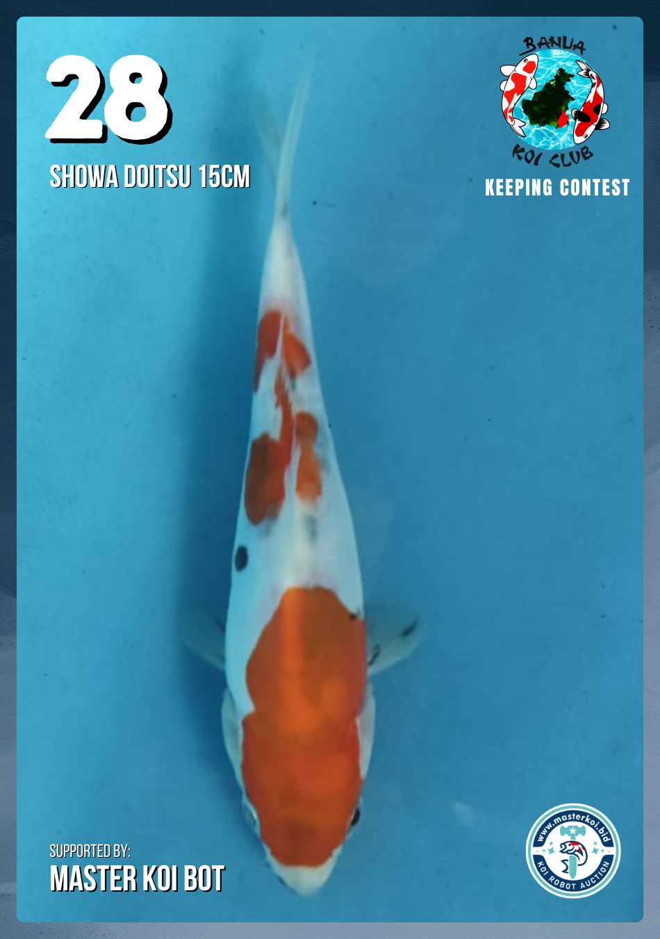 Lelang Koi Online, Jual Beli Ikan Koi, Pusat Jual Beli Koi, Info Lelang Koi Hari Ini, Platform Jual Beli Koi, Jual Beli Ikan Koi Online, Marketplace Ikan Koi, Jual Koi Terbaik, Tempat Beli Koi Berkualitas, Pasar Ikan Koi Online Terpercaya, Penjual Ikan Koi Terpercaya, Beli Koi Hias Online, Ikan Koi untuk Dijual, Koi Kualitas Terbaik, Toko Online Ikan Koi, Koi Hias Untuk Dijual, Jual Beli Ikan Koi Lokal, Koi Indonesia Online, Pusat Jual Beli Koi Terbesar