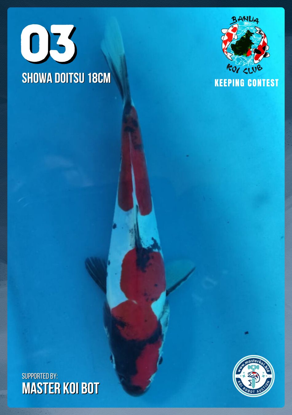 Lelang Koi Online, Jual Beli Ikan Koi, Pusat Jual Beli Koi, Info Lelang Koi Hari Ini, Platform Jual Beli Koi, Jual Beli Ikan Koi Online, Marketplace Ikan Koi, Jual Koi Terbaik, Tempat Beli Koi Berkualitas, Pasar Ikan Koi Online Terpercaya, Penjual Ikan Koi Terpercaya, Beli Koi Hias Online, Ikan Koi untuk Dijual, Koi Kualitas Terbaik, Toko Online Ikan Koi, Koi Hias Untuk Dijual, Jual Beli Ikan Koi Lokal, Koi Indonesia Online, Pusat Jual Beli Koi Terbesar