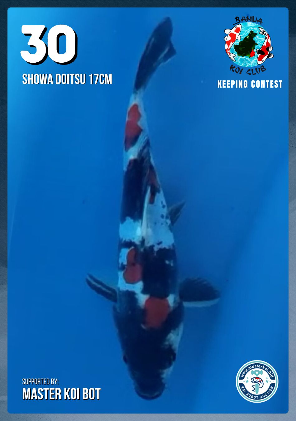 Lelang Koi Online, Jual Beli Ikan Koi, Pusat Jual Beli Koi, Info Lelang Koi Hari Ini, Platform Jual Beli Koi, Jual Beli Ikan Koi Online, Marketplace Ikan Koi, Jual Koi Terbaik, Tempat Beli Koi Berkualitas, Pasar Ikan Koi Online Terpercaya, Penjual Ikan Koi Terpercaya, Beli Koi Hias Online, Ikan Koi untuk Dijual, Koi Kualitas Terbaik, Toko Online Ikan Koi, Koi Hias Untuk Dijual, Jual Beli Ikan Koi Lokal, Koi Indonesia Online, Pusat Jual Beli Koi Terbesar