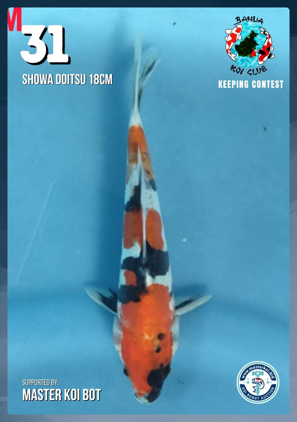 Lelang Koi Online, Jual Beli Ikan Koi, Pusat Jual Beli Koi, Info Lelang Koi Hari Ini, Platform Jual Beli Koi, Jual Beli Ikan Koi Online, Marketplace Ikan Koi, Jual Koi Terbaik, Tempat Beli Koi Berkualitas, Pasar Ikan Koi Online Terpercaya, Penjual Ikan Koi Terpercaya, Beli Koi Hias Online, Ikan Koi untuk Dijual, Koi Kualitas Terbaik, Toko Online Ikan Koi, Koi Hias Untuk Dijual, Jual Beli Ikan Koi Lokal, Koi Indonesia Online, Pusat Jual Beli Koi Terbesar