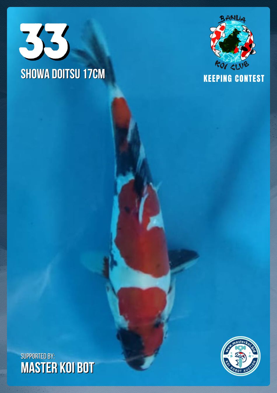 Lelang Koi Online, Jual Beli Ikan Koi, Pusat Jual Beli Koi, Info Lelang Koi Hari Ini, Platform Jual Beli Koi, Jual Beli Ikan Koi Online, Marketplace Ikan Koi, Jual Koi Terbaik, Tempat Beli Koi Berkualitas, Pasar Ikan Koi Online Terpercaya, Penjual Ikan Koi Terpercaya, Beli Koi Hias Online, Ikan Koi untuk Dijual, Koi Kualitas Terbaik, Toko Online Ikan Koi, Koi Hias Untuk Dijual, Jual Beli Ikan Koi Lokal, Koi Indonesia Online, Pusat Jual Beli Koi Terbesar