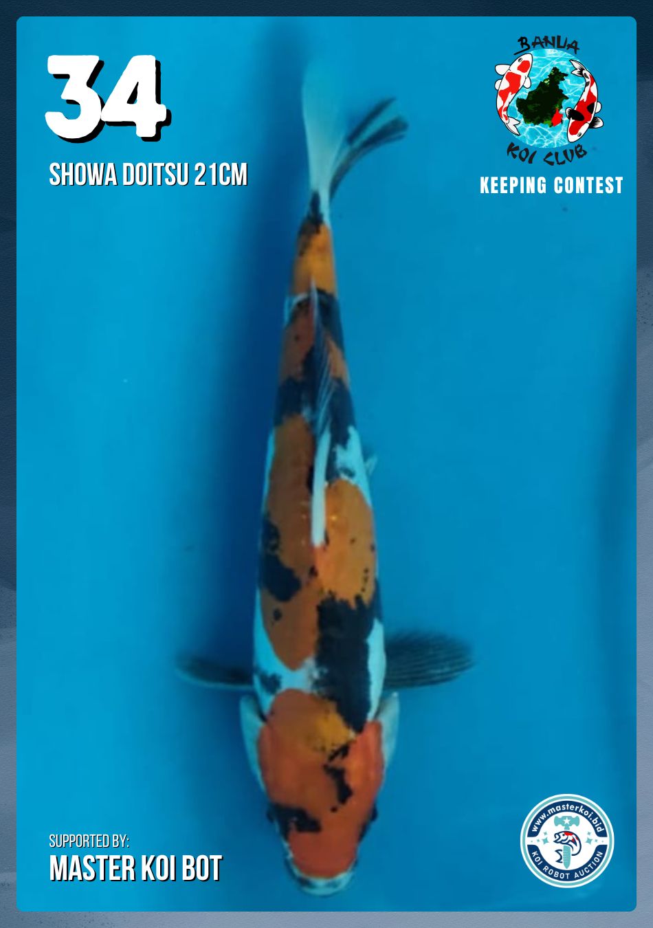 Lelang Koi Online, Jual Beli Ikan Koi, Pusat Jual Beli Koi, Info Lelang Koi Hari Ini, Platform Jual Beli Koi, Jual Beli Ikan Koi Online, Marketplace Ikan Koi, Jual Koi Terbaik, Tempat Beli Koi Berkualitas, Pasar Ikan Koi Online Terpercaya, Penjual Ikan Koi Terpercaya, Beli Koi Hias Online, Ikan Koi untuk Dijual, Koi Kualitas Terbaik, Toko Online Ikan Koi, Koi Hias Untuk Dijual, Jual Beli Ikan Koi Lokal, Koi Indonesia Online, Pusat Jual Beli Koi Terbesar