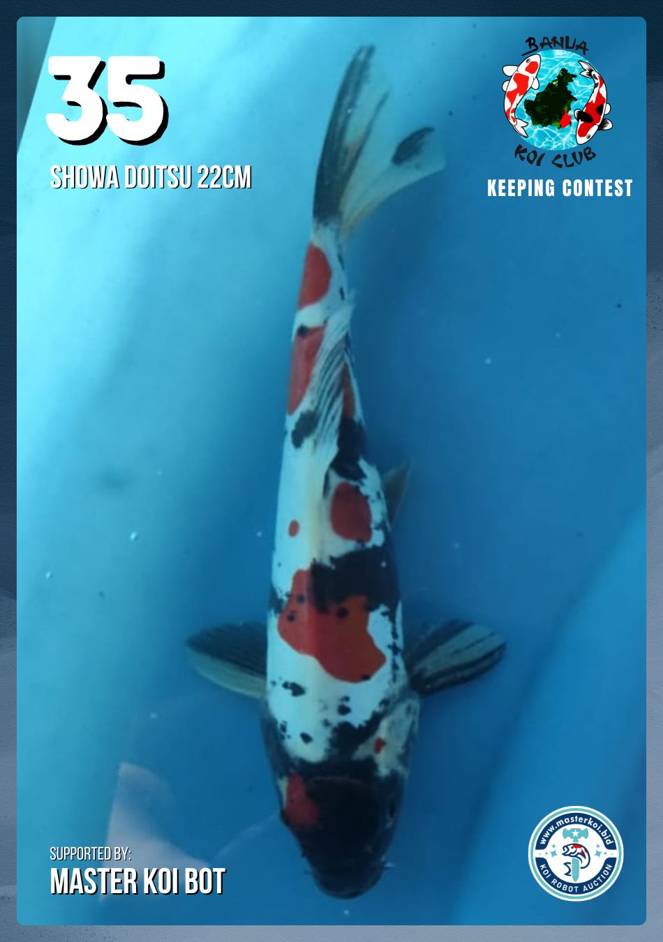 Lelang Koi Online, Jual Beli Ikan Koi, Pusat Jual Beli Koi, Info Lelang Koi Hari Ini, Platform Jual Beli Koi, Jual Beli Ikan Koi Online, Marketplace Ikan Koi, Jual Koi Terbaik, Tempat Beli Koi Berkualitas, Pasar Ikan Koi Online Terpercaya, Penjual Ikan Koi Terpercaya, Beli Koi Hias Online, Ikan Koi untuk Dijual, Koi Kualitas Terbaik, Toko Online Ikan Koi, Koi Hias Untuk Dijual, Jual Beli Ikan Koi Lokal, Koi Indonesia Online, Pusat Jual Beli Koi Terbesar