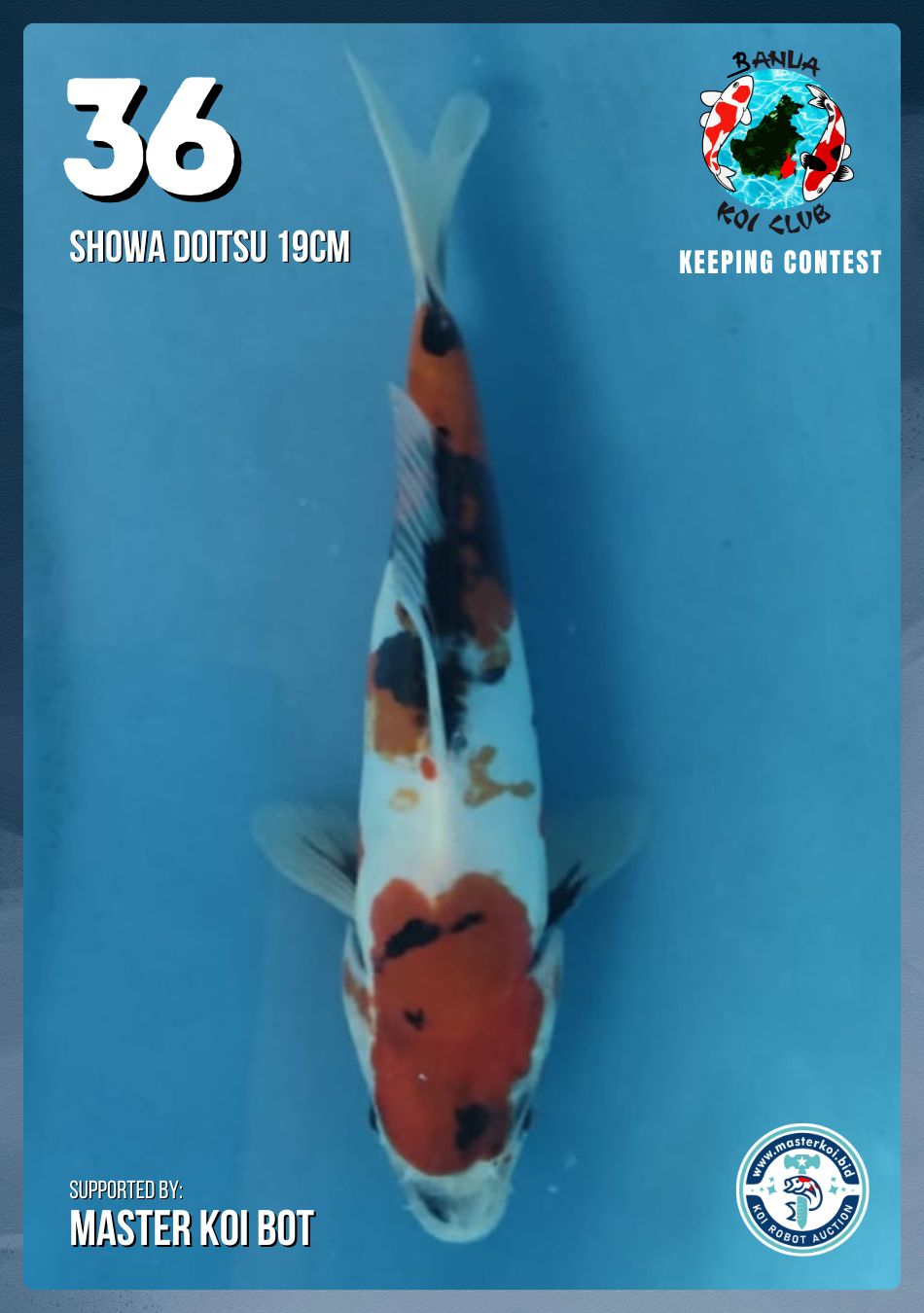 Lelang Koi Online, Jual Beli Ikan Koi, Pusat Jual Beli Koi, Info Lelang Koi Hari Ini, Platform Jual Beli Koi, Jual Beli Ikan Koi Online, Marketplace Ikan Koi, Jual Koi Terbaik, Tempat Beli Koi Berkualitas, Pasar Ikan Koi Online Terpercaya, Penjual Ikan Koi Terpercaya, Beli Koi Hias Online, Ikan Koi untuk Dijual, Koi Kualitas Terbaik, Toko Online Ikan Koi, Koi Hias Untuk Dijual, Jual Beli Ikan Koi Lokal, Koi Indonesia Online, Pusat Jual Beli Koi Terbesar
