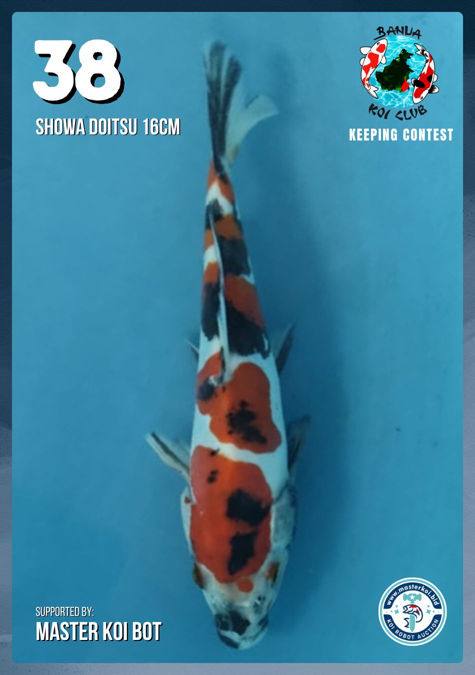 Lelang Koi Online, Jual Beli Ikan Koi, Pusat Jual Beli Koi, Info Lelang Koi Hari Ini, Platform Jual Beli Koi, Jual Beli Ikan Koi Online, Marketplace Ikan Koi, Jual Koi Terbaik, Tempat Beli Koi Berkualitas, Pasar Ikan Koi Online Terpercaya, Penjual Ikan Koi Terpercaya, Beli Koi Hias Online, Ikan Koi untuk Dijual, Koi Kualitas Terbaik, Toko Online Ikan Koi, Koi Hias Untuk Dijual, Jual Beli Ikan Koi Lokal, Koi Indonesia Online, Pusat Jual Beli Koi Terbesar