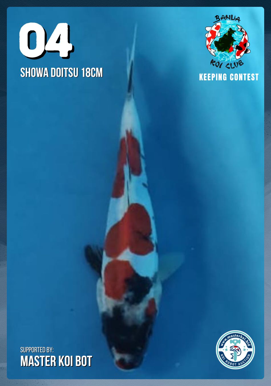 Lelang Koi Online, Jual Beli Ikan Koi, Pusat Jual Beli Koi, Info Lelang Koi Hari Ini, Platform Jual Beli Koi, Jual Beli Ikan Koi Online, Marketplace Ikan Koi, Jual Koi Terbaik, Tempat Beli Koi Berkualitas, Pasar Ikan Koi Online Terpercaya, Penjual Ikan Koi Terpercaya, Beli Koi Hias Online, Ikan Koi untuk Dijual, Koi Kualitas Terbaik, Toko Online Ikan Koi, Koi Hias Untuk Dijual, Jual Beli Ikan Koi Lokal, Koi Indonesia Online, Pusat Jual Beli Koi Terbesar