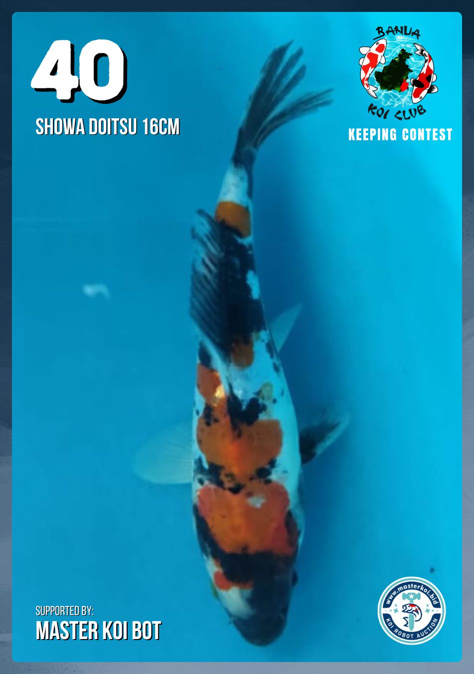 Lelang Koi Online, Jual Beli Ikan Koi, Pusat Jual Beli Koi, Info Lelang Koi Hari Ini, Platform Jual Beli Koi, Jual Beli Ikan Koi Online, Marketplace Ikan Koi, Jual Koi Terbaik, Tempat Beli Koi Berkualitas, Pasar Ikan Koi Online Terpercaya, Penjual Ikan Koi Terpercaya, Beli Koi Hias Online, Ikan Koi untuk Dijual, Koi Kualitas Terbaik, Toko Online Ikan Koi, Koi Hias Untuk Dijual, Jual Beli Ikan Koi Lokal, Koi Indonesia Online, Pusat Jual Beli Koi Terbesar