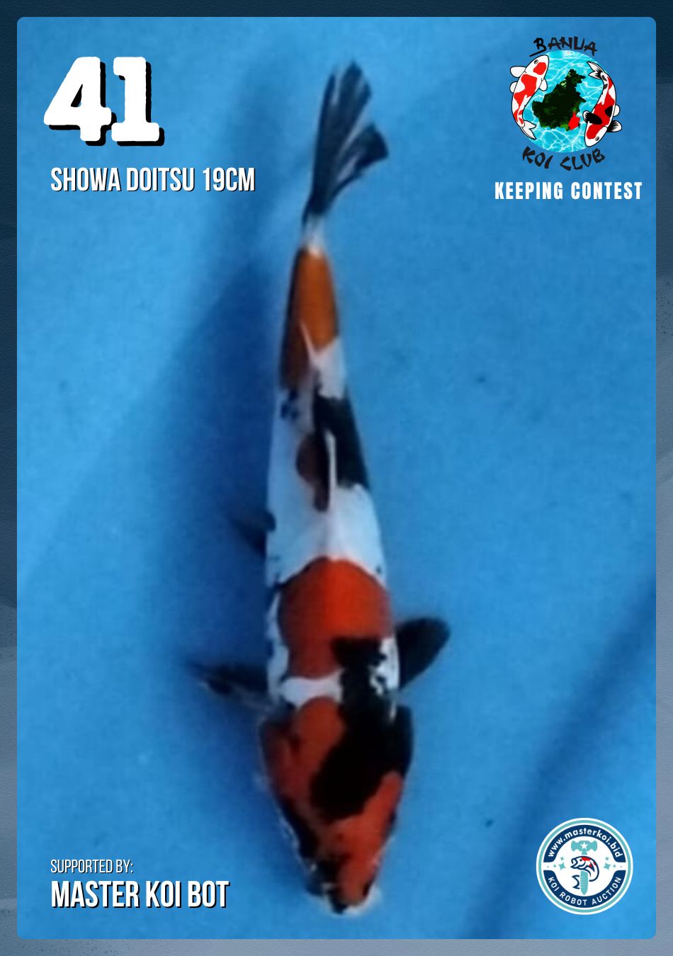 Lelang Koi Online, Jual Beli Ikan Koi, Pusat Jual Beli Koi, Info Lelang Koi Hari Ini, Platform Jual Beli Koi, Jual Beli Ikan Koi Online, Marketplace Ikan Koi, Jual Koi Terbaik, Tempat Beli Koi Berkualitas, Pasar Ikan Koi Online Terpercaya, Penjual Ikan Koi Terpercaya, Beli Koi Hias Online, Ikan Koi untuk Dijual, Koi Kualitas Terbaik, Toko Online Ikan Koi, Koi Hias Untuk Dijual, Jual Beli Ikan Koi Lokal, Koi Indonesia Online, Pusat Jual Beli Koi Terbesar