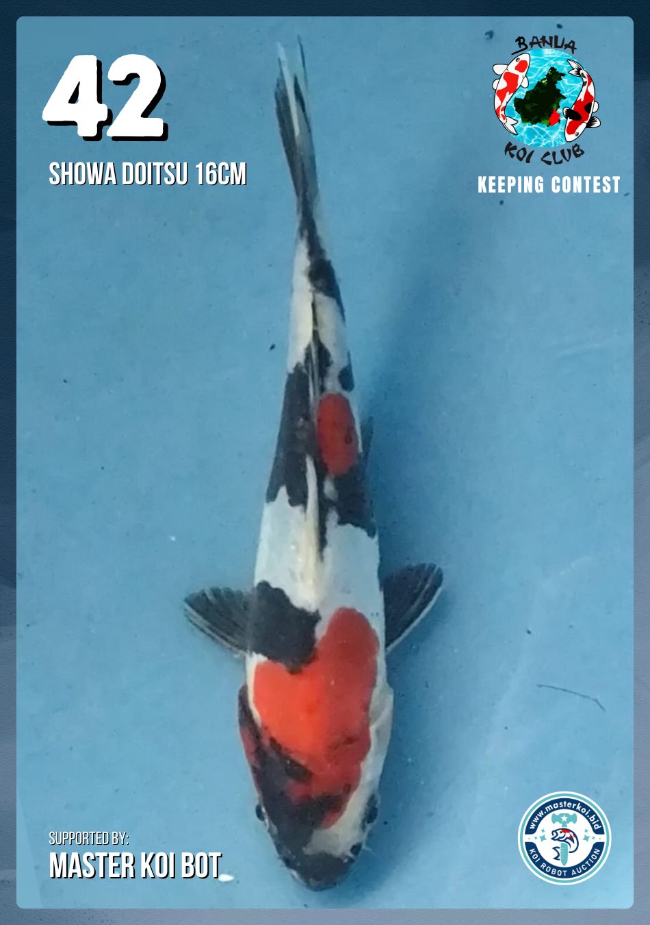 Lelang Koi Online, Jual Beli Ikan Koi, Pusat Jual Beli Koi, Info Lelang Koi Hari Ini, Platform Jual Beli Koi, Jual Beli Ikan Koi Online, Marketplace Ikan Koi, Jual Koi Terbaik, Tempat Beli Koi Berkualitas, Pasar Ikan Koi Online Terpercaya, Penjual Ikan Koi Terpercaya, Beli Koi Hias Online, Ikan Koi untuk Dijual, Koi Kualitas Terbaik, Toko Online Ikan Koi, Koi Hias Untuk Dijual, Jual Beli Ikan Koi Lokal, Koi Indonesia Online, Pusat Jual Beli Koi Terbesar