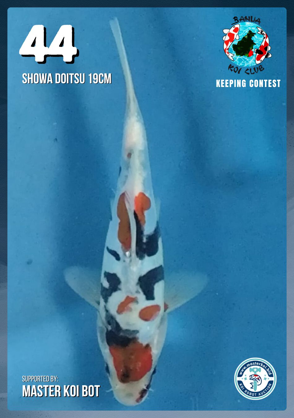Lelang Koi Online, Jual Beli Ikan Koi, Pusat Jual Beli Koi, Info Lelang Koi Hari Ini, Platform Jual Beli Koi, Jual Beli Ikan Koi Online, Marketplace Ikan Koi, Jual Koi Terbaik, Tempat Beli Koi Berkualitas, Pasar Ikan Koi Online Terpercaya, Penjual Ikan Koi Terpercaya, Beli Koi Hias Online, Ikan Koi untuk Dijual, Koi Kualitas Terbaik, Toko Online Ikan Koi, Koi Hias Untuk Dijual, Jual Beli Ikan Koi Lokal, Koi Indonesia Online, Pusat Jual Beli Koi Terbesar
