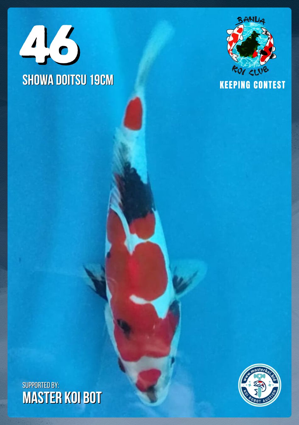 Lelang Koi Online, Jual Beli Ikan Koi, Pusat Jual Beli Koi, Info Lelang Koi Hari Ini, Platform Jual Beli Koi, Jual Beli Ikan Koi Online, Marketplace Ikan Koi, Jual Koi Terbaik, Tempat Beli Koi Berkualitas, Pasar Ikan Koi Online Terpercaya, Penjual Ikan Koi Terpercaya, Beli Koi Hias Online, Ikan Koi untuk Dijual, Koi Kualitas Terbaik, Toko Online Ikan Koi, Koi Hias Untuk Dijual, Jual Beli Ikan Koi Lokal, Koi Indonesia Online, Pusat Jual Beli Koi Terbesar