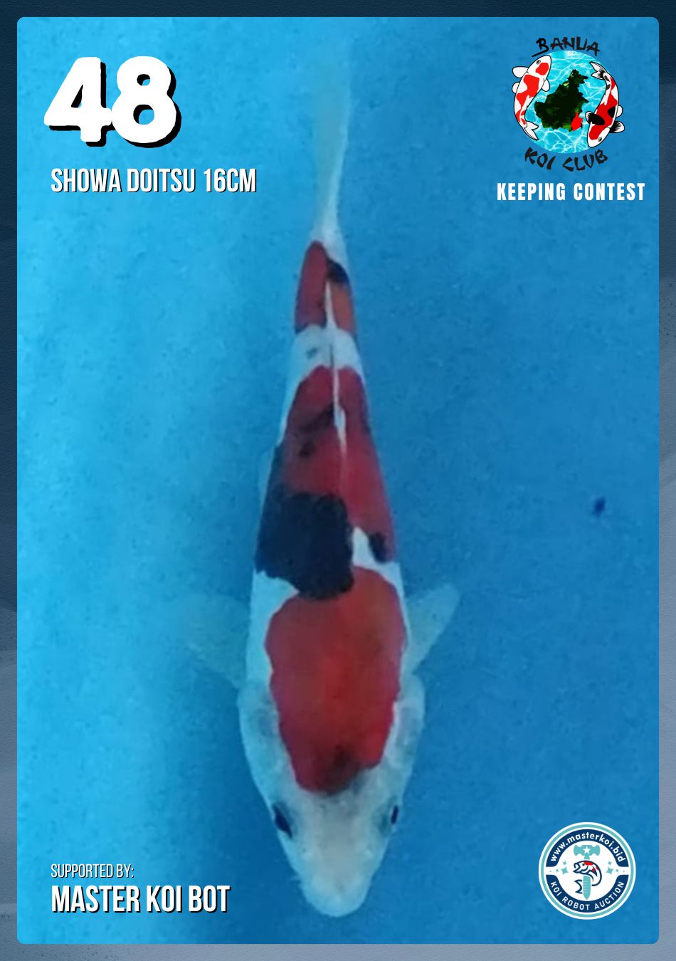 Lelang Koi Online, Jual Beli Ikan Koi, Pusat Jual Beli Koi, Info Lelang Koi Hari Ini, Platform Jual Beli Koi, Jual Beli Ikan Koi Online, Marketplace Ikan Koi, Jual Koi Terbaik, Tempat Beli Koi Berkualitas, Pasar Ikan Koi Online Terpercaya, Penjual Ikan Koi Terpercaya, Beli Koi Hias Online, Ikan Koi untuk Dijual, Koi Kualitas Terbaik, Toko Online Ikan Koi, Koi Hias Untuk Dijual, Jual Beli Ikan Koi Lokal, Koi Indonesia Online, Pusat Jual Beli Koi Terbesar