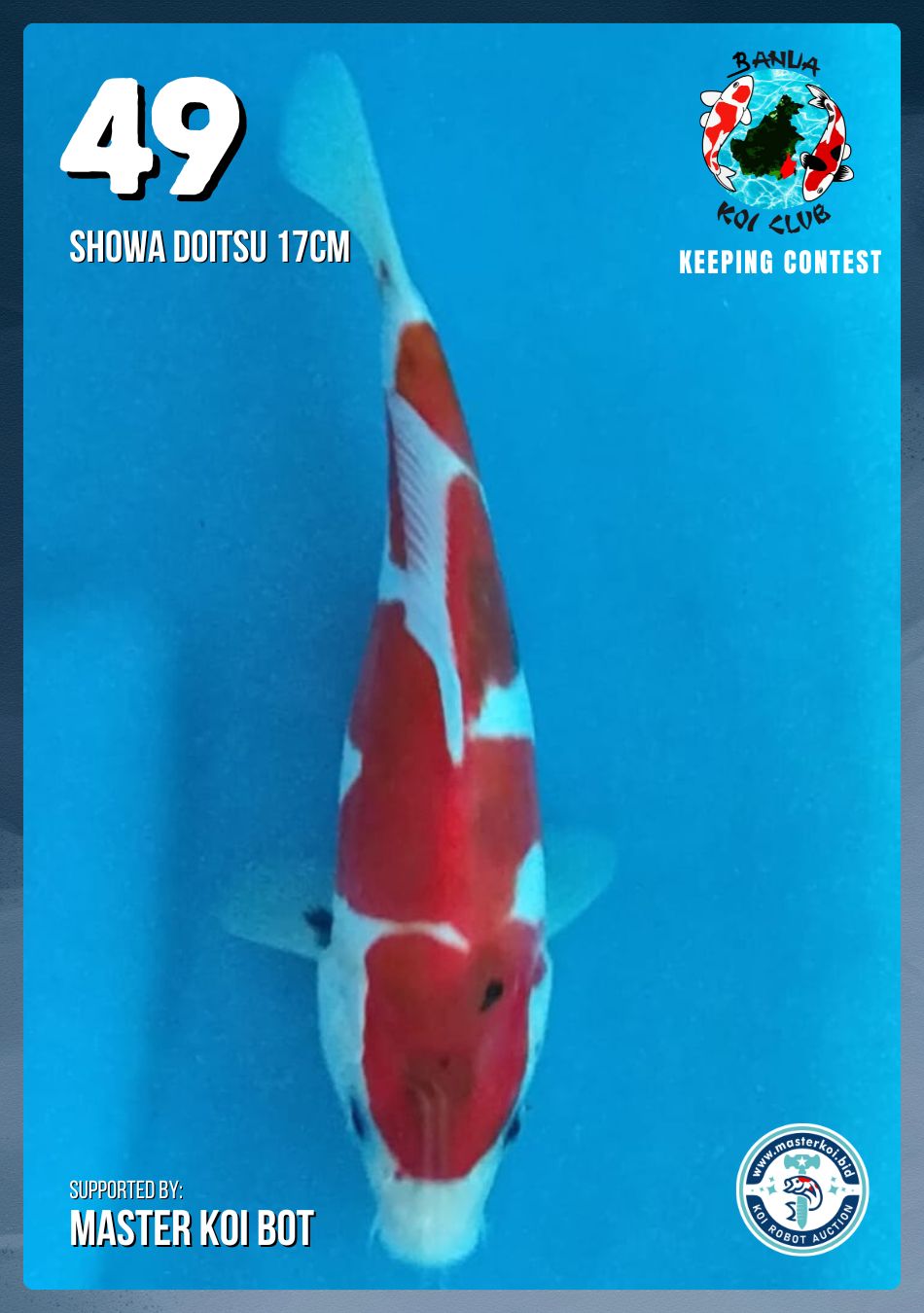 Lelang Koi Online, Jual Beli Ikan Koi, Pusat Jual Beli Koi, Info Lelang Koi Hari Ini, Platform Jual Beli Koi, Jual Beli Ikan Koi Online, Marketplace Ikan Koi, Jual Koi Terbaik, Tempat Beli Koi Berkualitas, Pasar Ikan Koi Online Terpercaya, Penjual Ikan Koi Terpercaya, Beli Koi Hias Online, Ikan Koi untuk Dijual, Koi Kualitas Terbaik, Toko Online Ikan Koi, Koi Hias Untuk Dijual, Jual Beli Ikan Koi Lokal, Koi Indonesia Online, Pusat Jual Beli Koi Terbesar